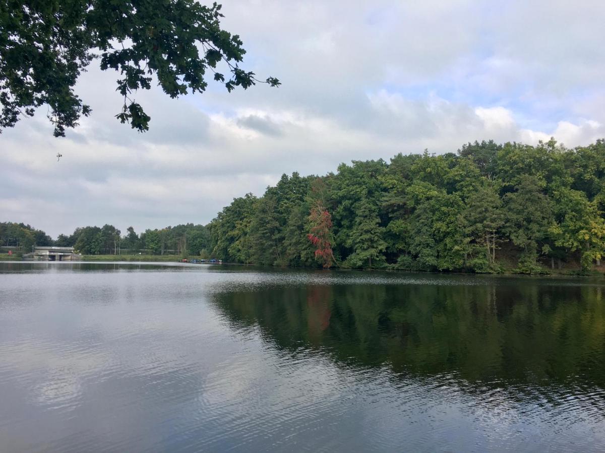 Ferienwohnungen Heideidylle Amelinghausen Exterior foto
